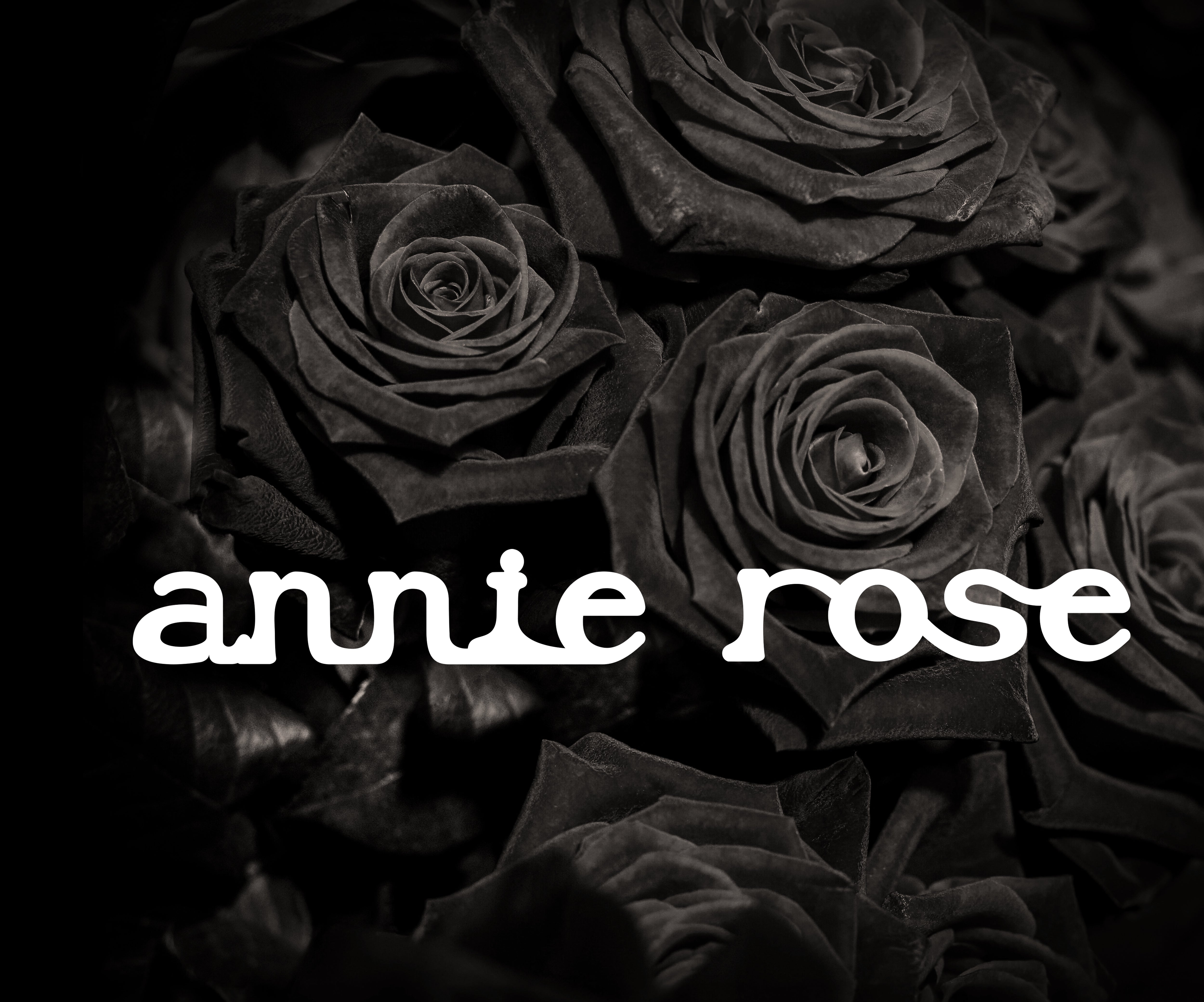 The Annie Rose Magazine Volume One Issue One